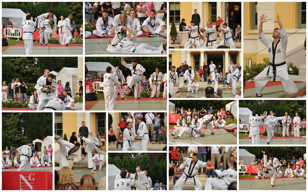 Démonstration de Hapkido au forum des associations 2014